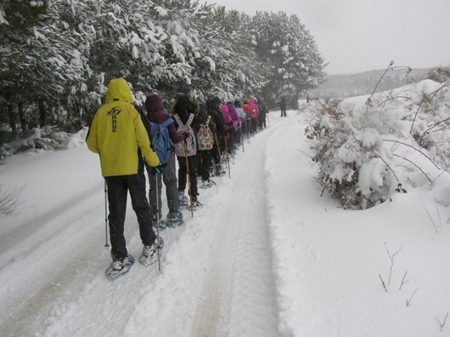  snowshoe itinerary 